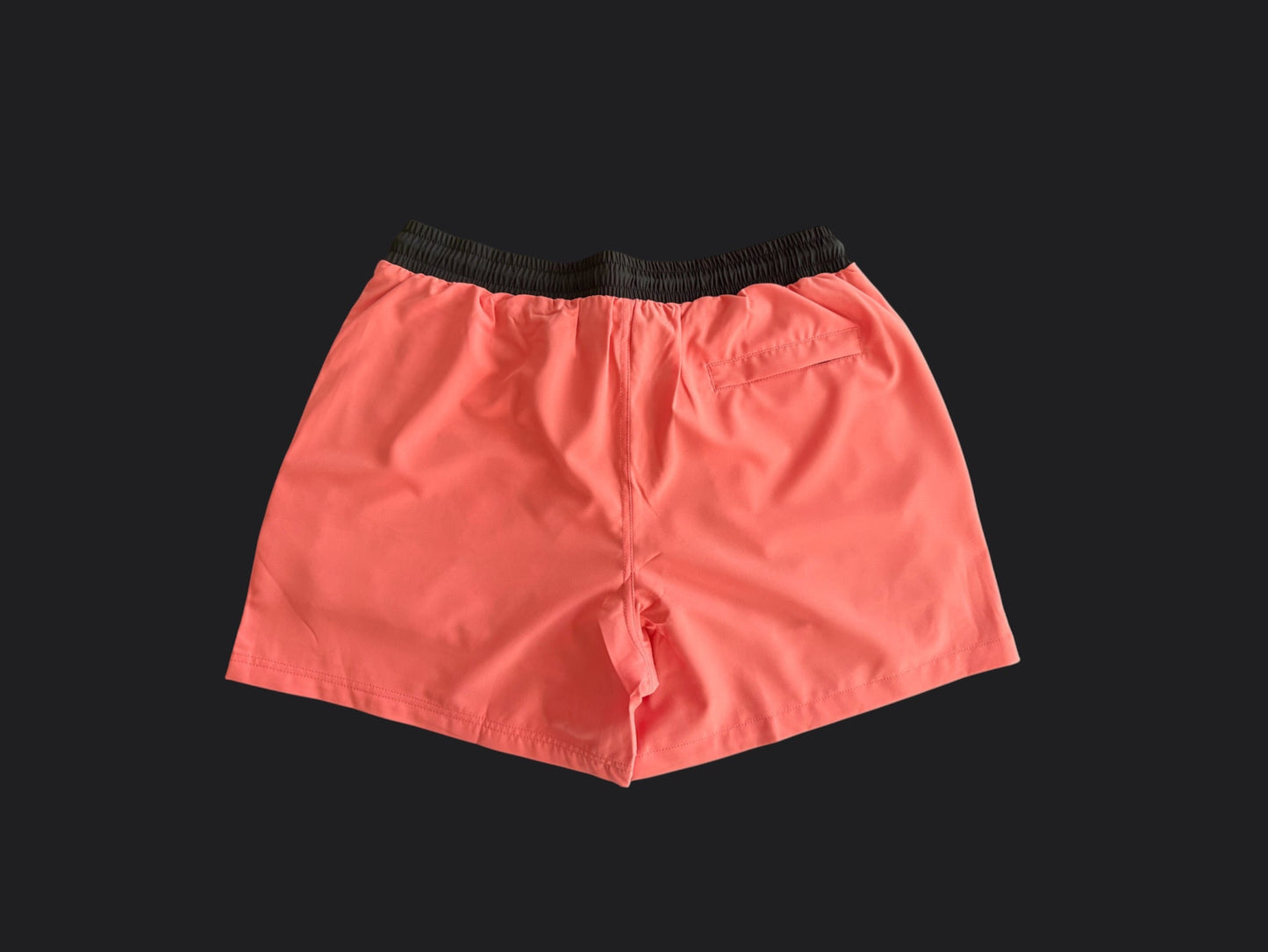 Solid State Core 5" Mens Short